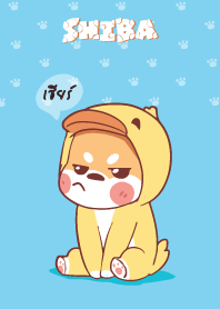 เชียร์ ใครไม่บะ ชิบะ 4 V05