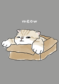 neko drawing4 / dim grey