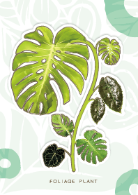 觀葉植物小確幸