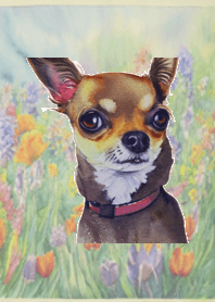 CHIHUAHUA WATERCOLOR THEME 1
