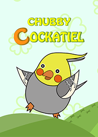 Chubby Gray Cockatiel