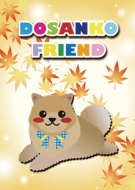 [Pomeranian/orange] Autumn