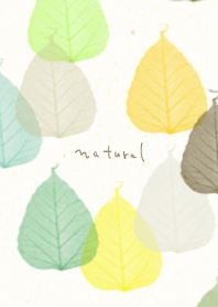 A leaf Stack Brown Green5 from Japan