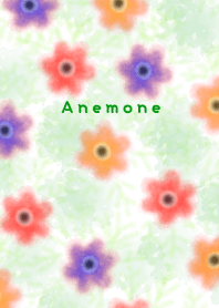 Anemone's blooming field