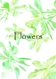 大人女子向け・癒やしのグリーンフラワー