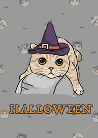 meow's halloween - dim grey