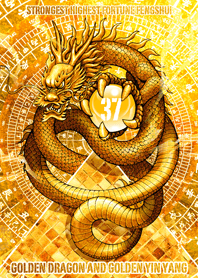 Golden dragon and golden YinYangLucky 37