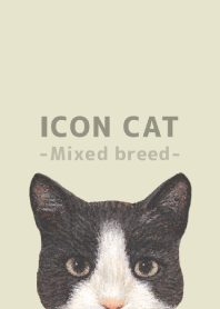ICON CAT - ミックス - PASTEL YE/03