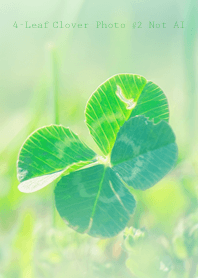 4-Leaf Clover Photo #2-5Not AI