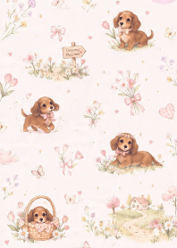 Dachshunds are cute,