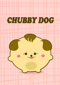 Chubby dog
