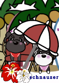 black schnauzer olive 6 ranger 9