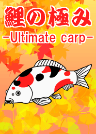 Ultimate carp