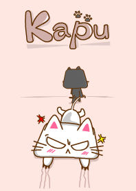Kapu the cat