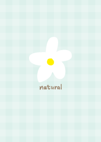 White flower natural13 from Japan