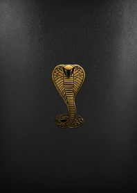 Simple Icon series No.23 World Ver.