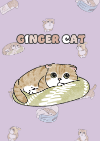 gingercat11 - grape