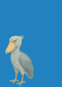 I am a shoebill on blue
