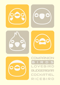 Companion Birds/yellow14.v2