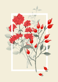 Botanical Flower_04