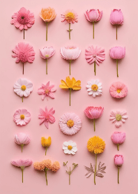 かわいいパステルカラーのお花たち4