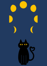 Black cat and the phases of the moon