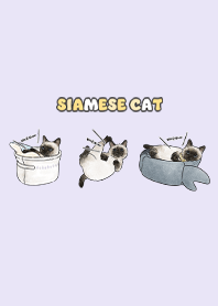 siamesecats5 / light purple