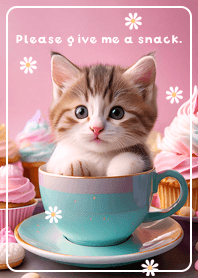 pink Cat waiting for snacks 03_2