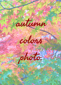 紅葉写真。