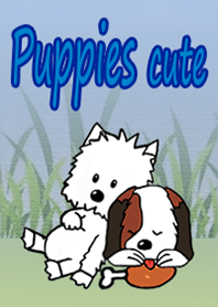 Puppies cute