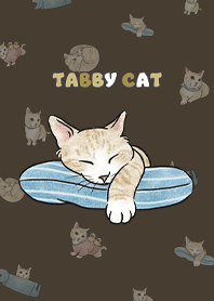 creamtabby2 / chocolate .jp