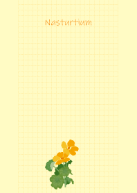 May birth flower,Nasturtium