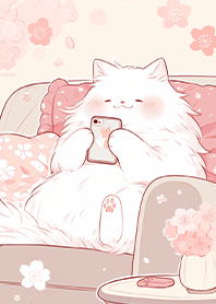 ⭐️慵懶宅貓的幸福午後❤️