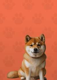 Cute Shibainu Theme Red 05