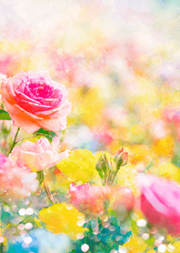 Beautiful rose flower(R3704)