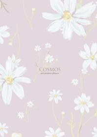 Cosmos-Art -autumn purple-