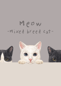Meow - Mixed breed cat 02 - GRAY