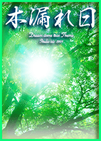 Sunlight filtering through the foliage1