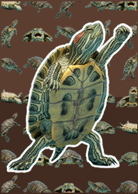 Green Turtle Live Action Mocha