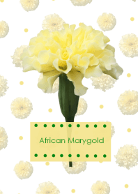African Marygold ~vanilla~