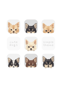 DOGS - Chihuahua L - WHITE/GRAY