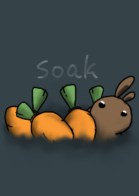 rabbit staring - soak