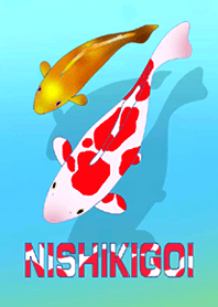 ก้อย (Nishikigoi)