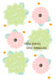 Little succulent 18 :)