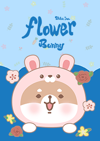 สวรรค์ของกระต่ายชิบะอินุ/สีฟ้า