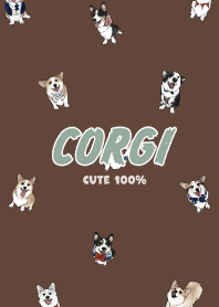 corgicorgi7 - dark brown
