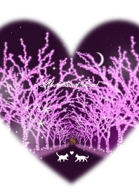 Illumination road & cat