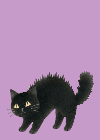 A unique cat12 light purple