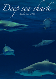 Deep sea shark
