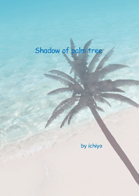 Shadow of palm tree